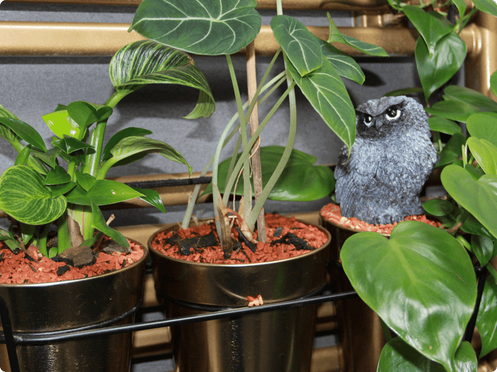 Wunderschöne und detailreiche Eulen-Statue 🦉